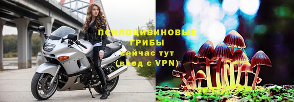 амф Белокуриха