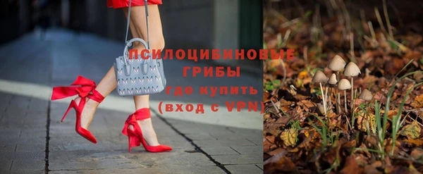 амф Белокуриха