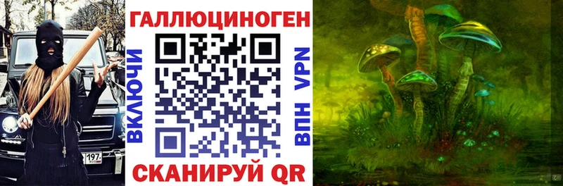 купить наркотики сайты  Шагонар  Псилоцибиновые грибы Magic Shrooms 